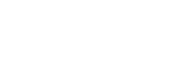 The Next Karate Kid logo