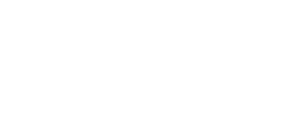 No Kidding logo