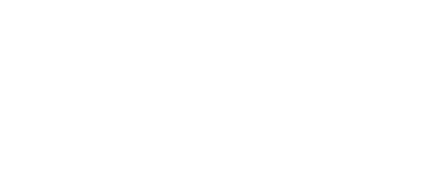 7 Virgins logo