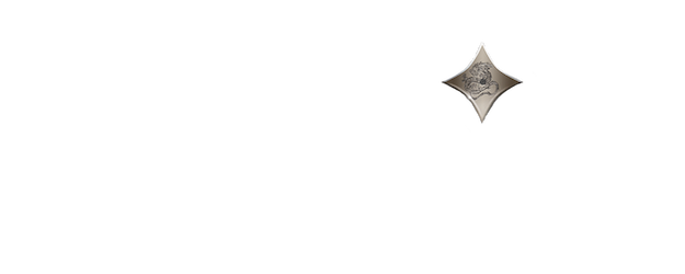 Ninja Assassin logo