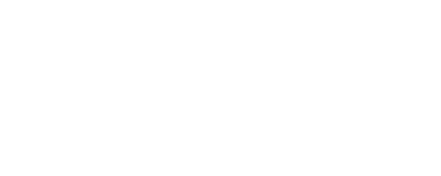 Felon logo