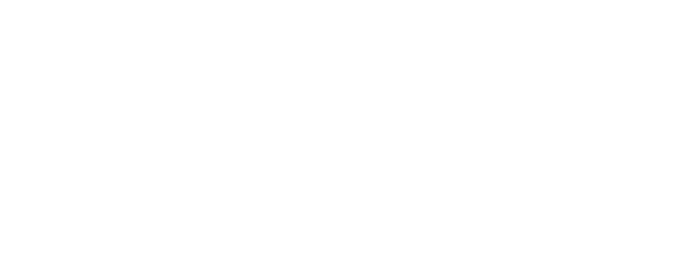 The Soloist logo