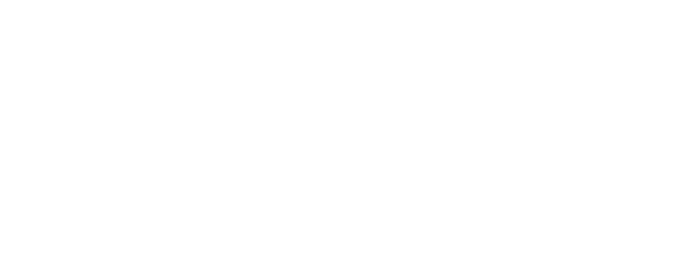 The Soloist logo