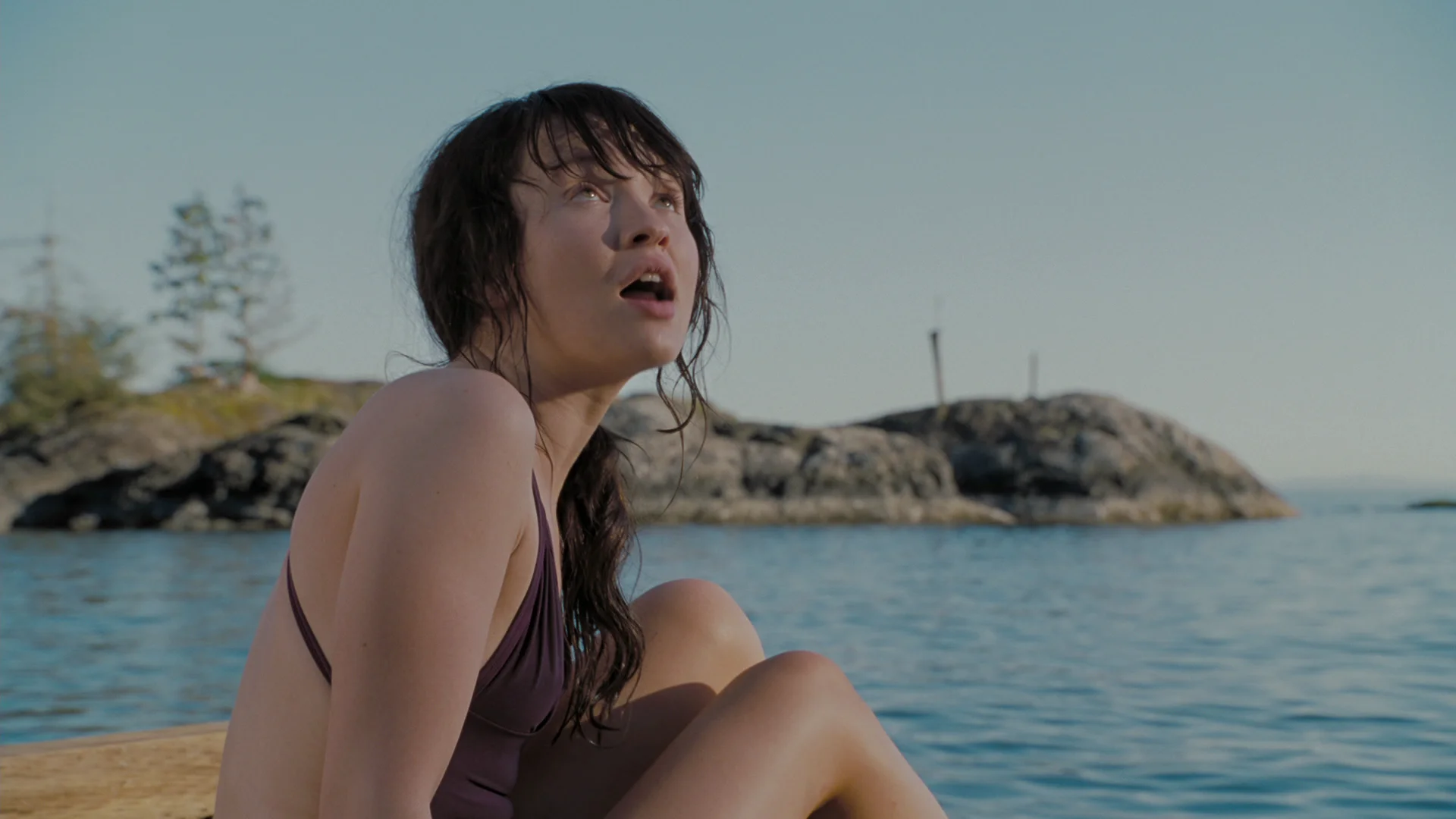 The Uninvited