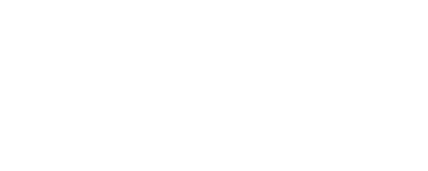 Duplicity logo
