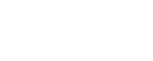 Observe and Report logo