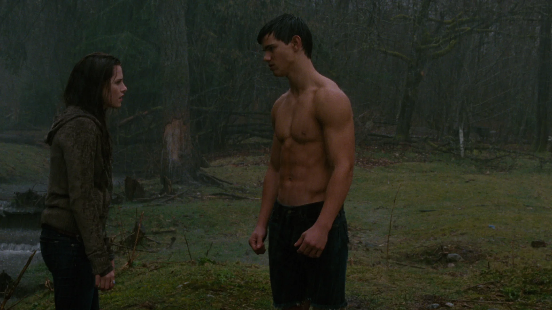 The Twilight Saga: New Moon