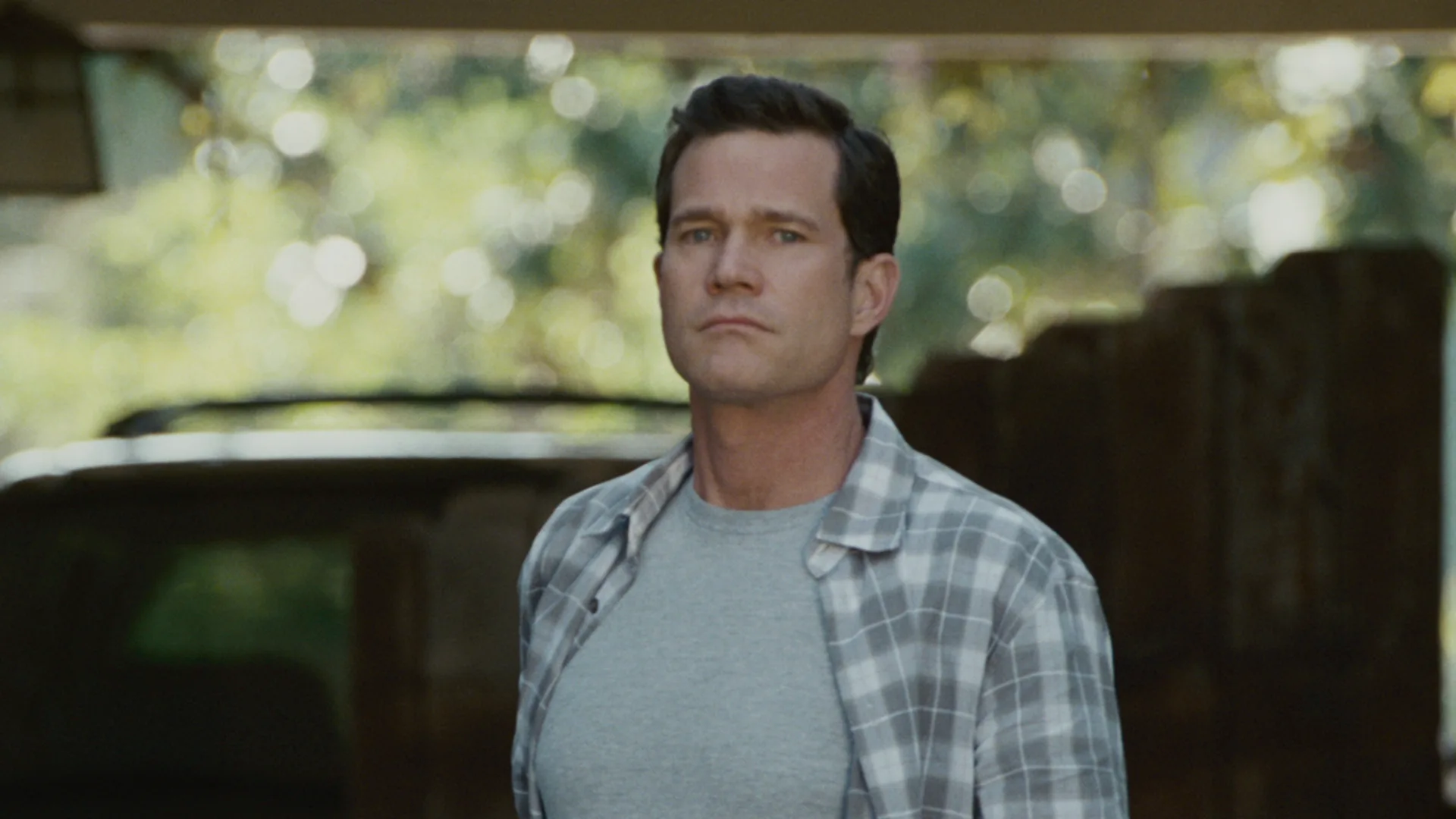 The Stepfather