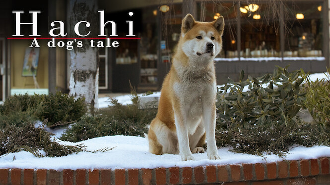 Hachi: A Dog's Tale