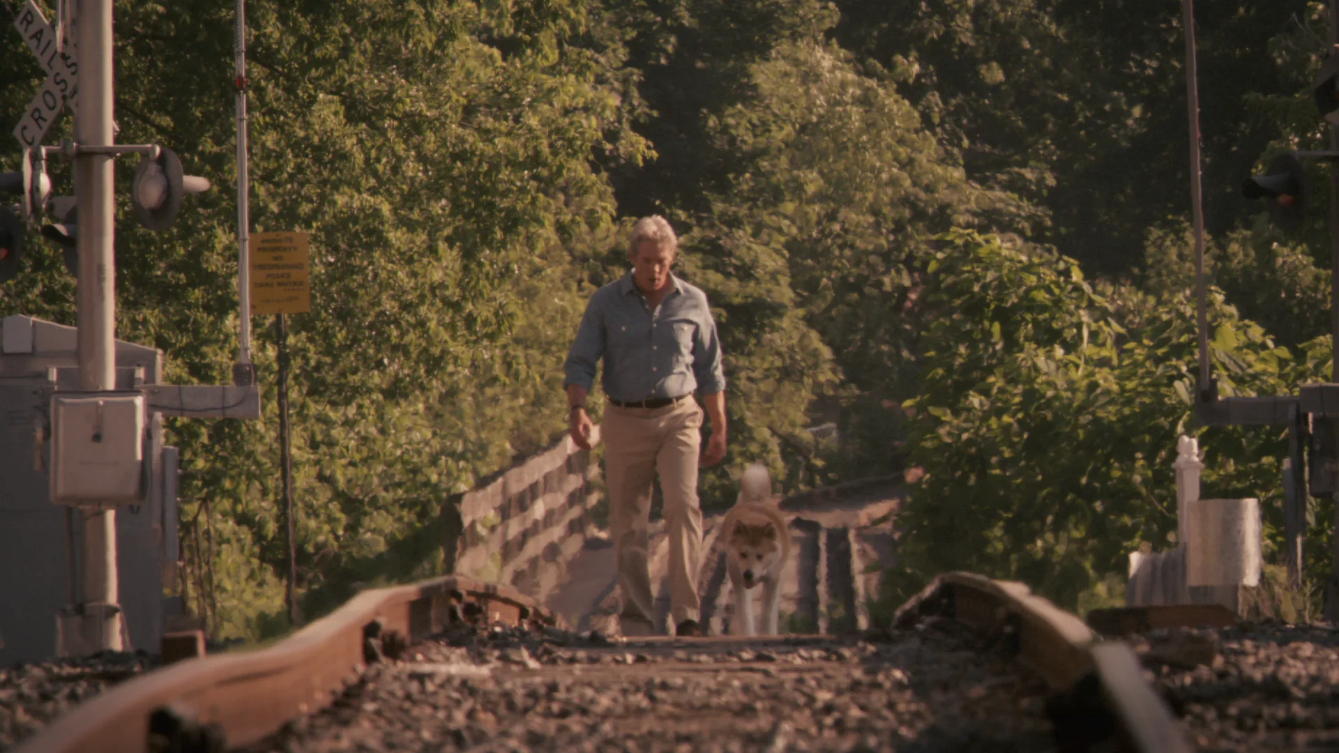 Hachi: A Dog's Tale