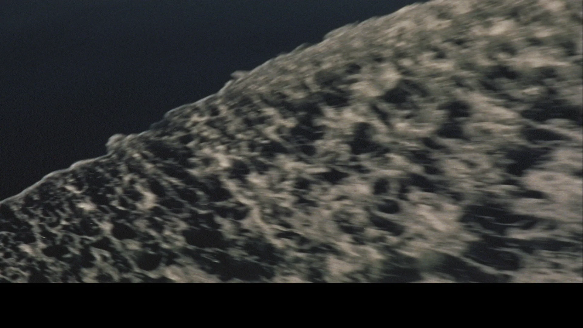 Mothra