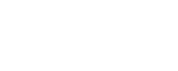 3 Idiots logo