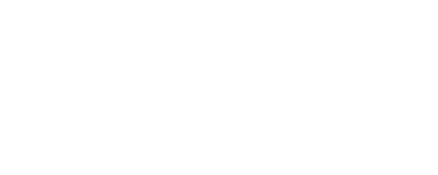 Snakes and Earrings logo