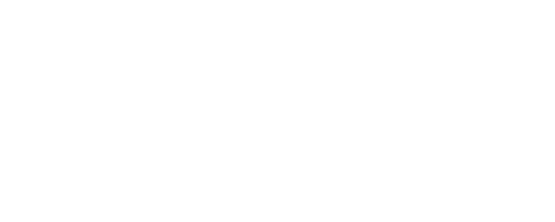 Snakes and Earrings logo