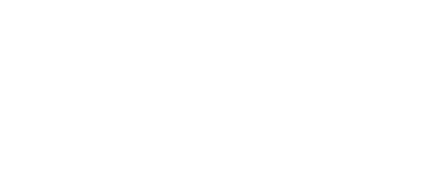 Bodyguards and Assassins logo