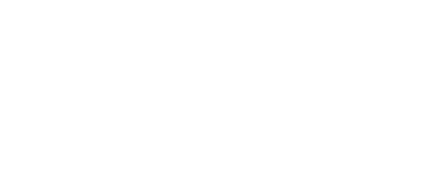 Videocracy logo