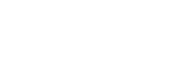 Leap Year logo