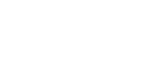 Rocket Singh: Salesman of the Year logo