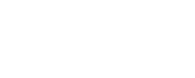 Night Catches Us logo