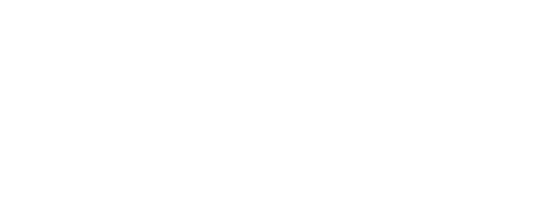 Night Catches Us logo