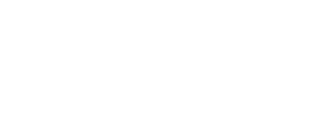 The Mechanic logo