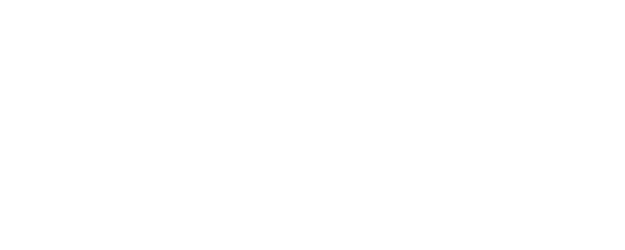 Paju logo