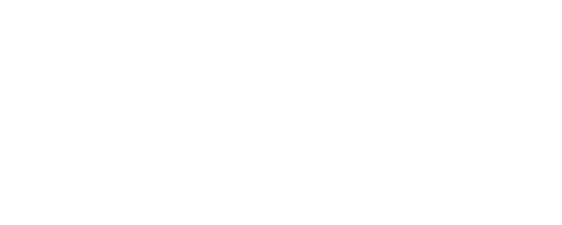 Paju logo