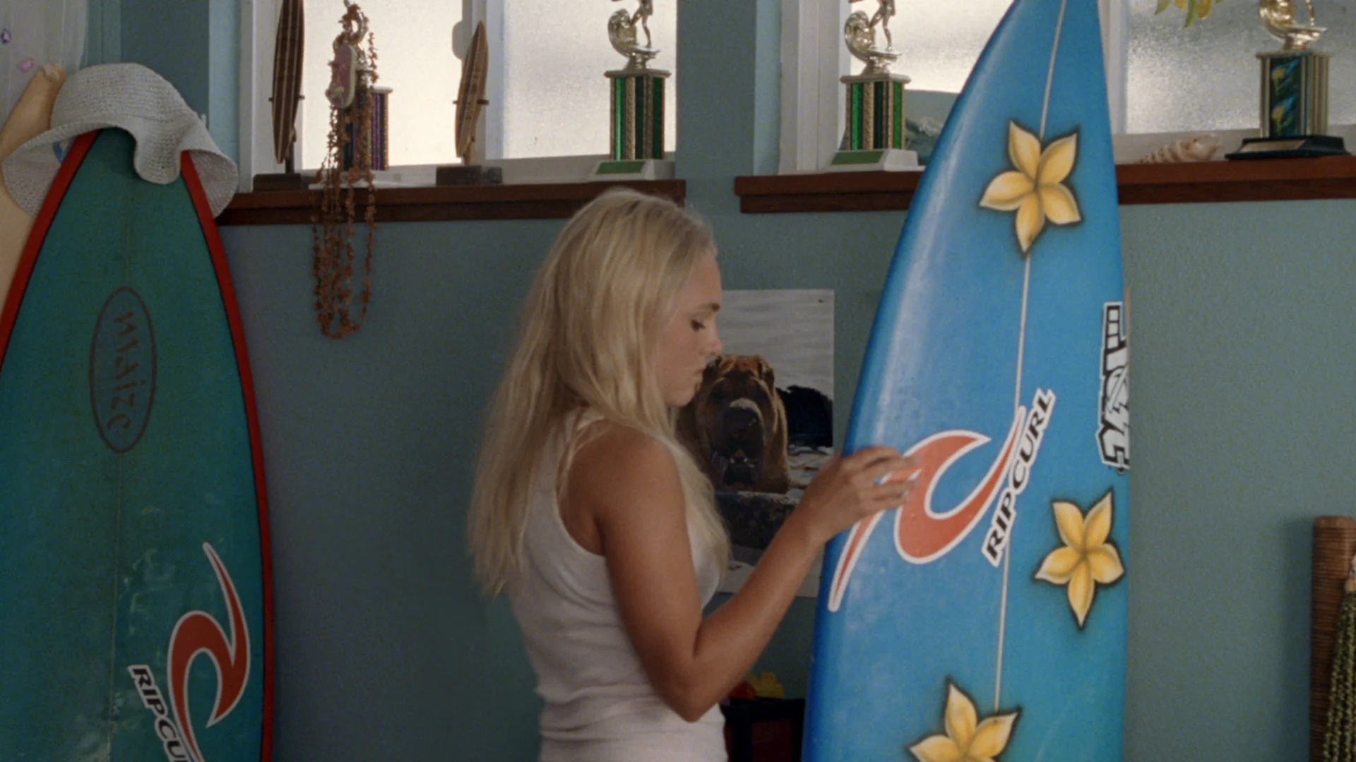 Soul Surfer