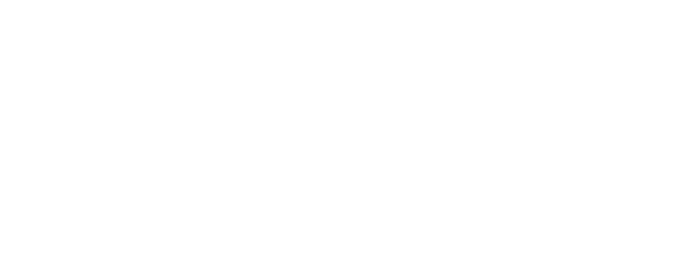 Murdoch Mysteries logo