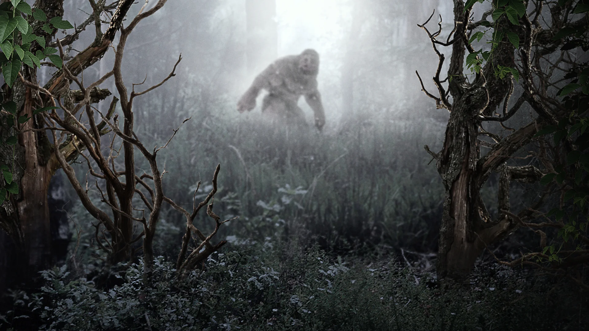 MonsterQuest