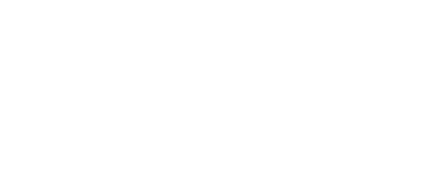 The Bird Can't Fly logo