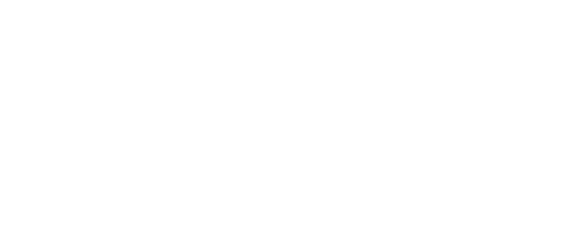 The Bird Can't Fly logo