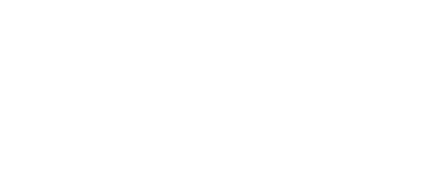 The Iron Maiden logo