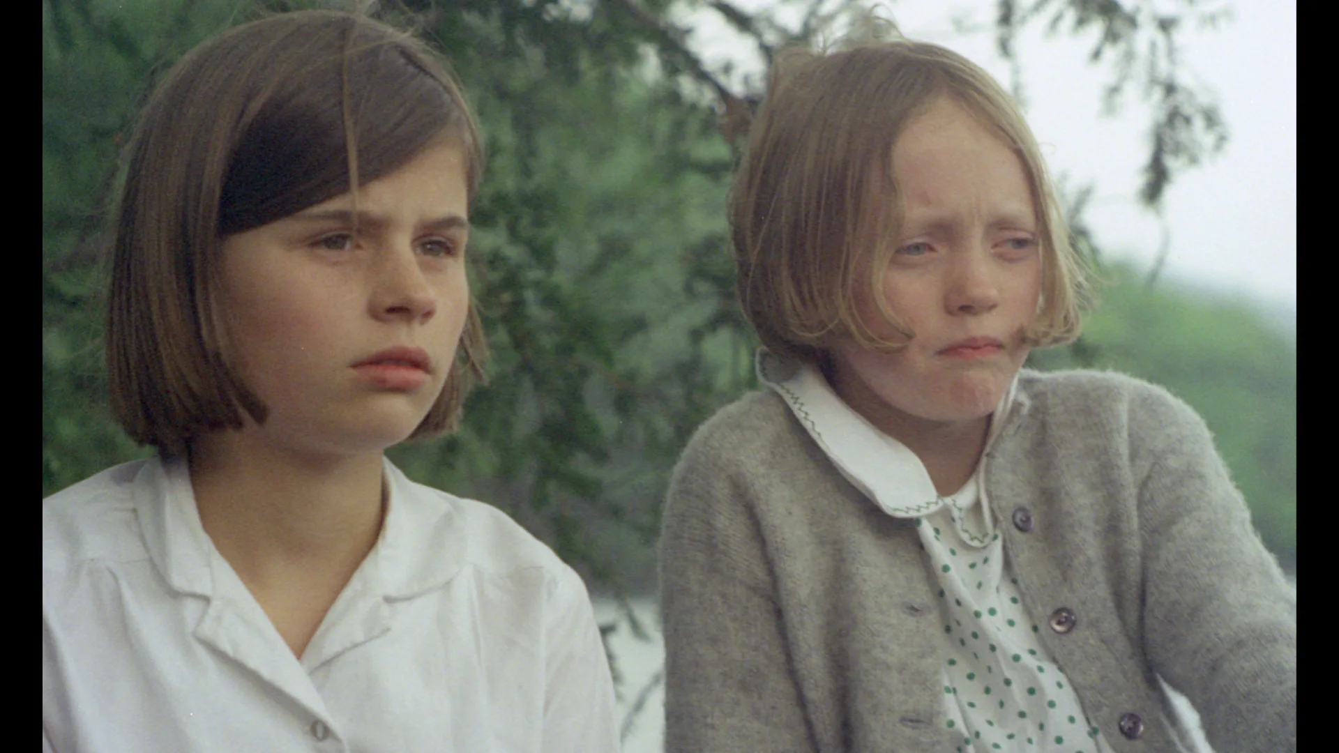 Swallows and Amazons