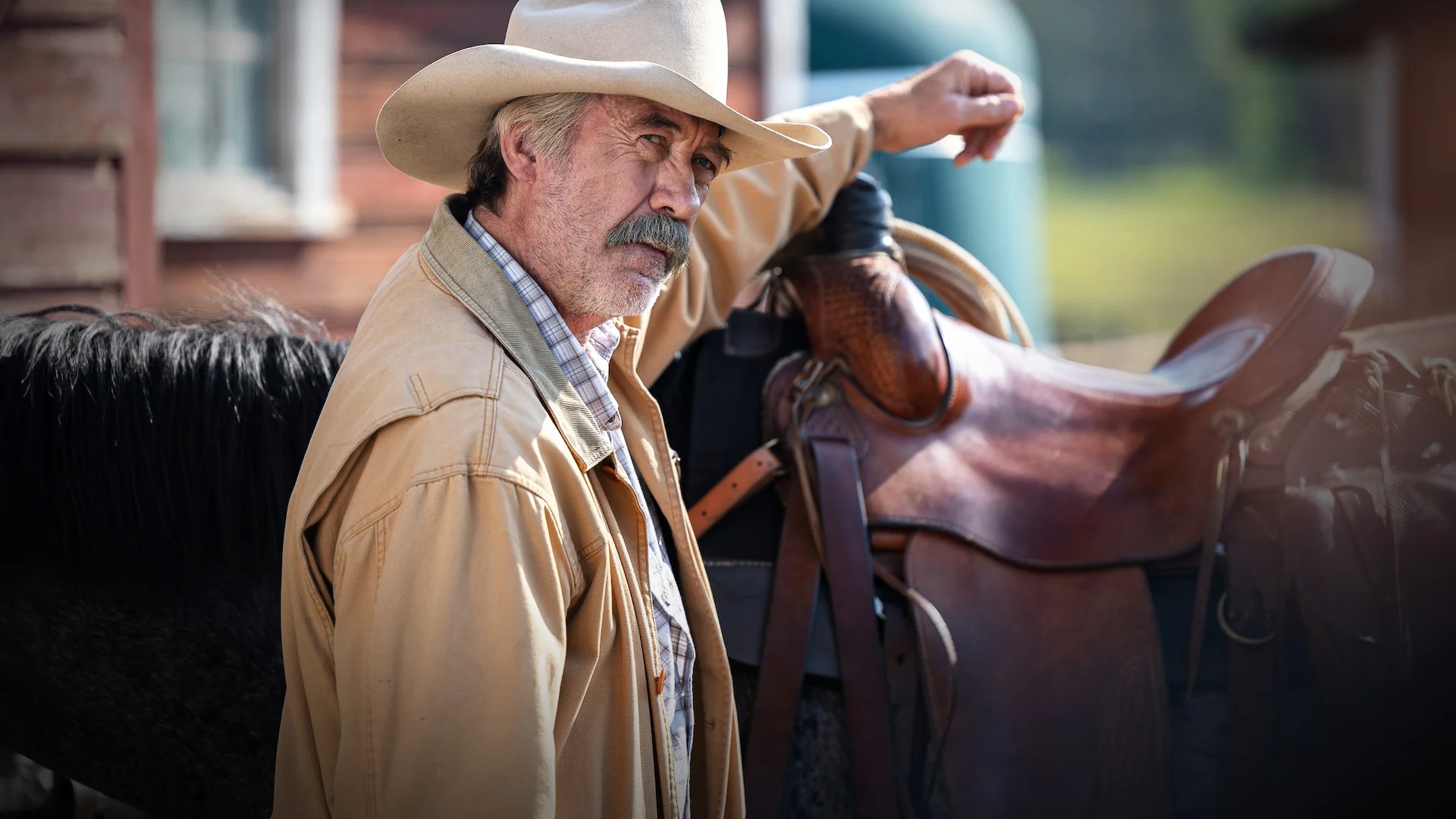 Heartland