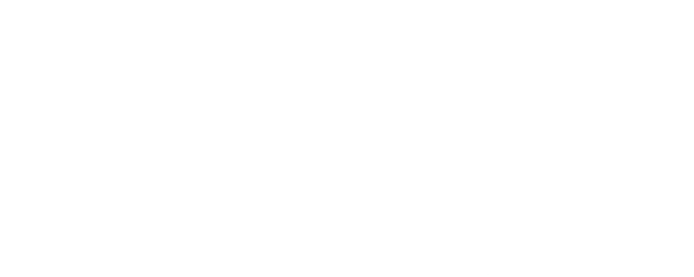 Homeland logo