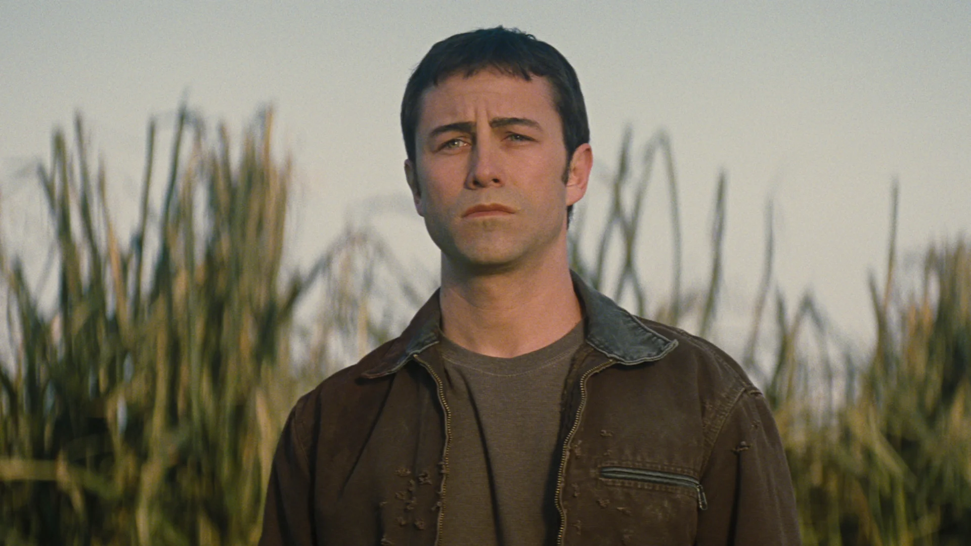 Looper