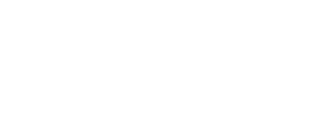 Searching for the Elephant logo