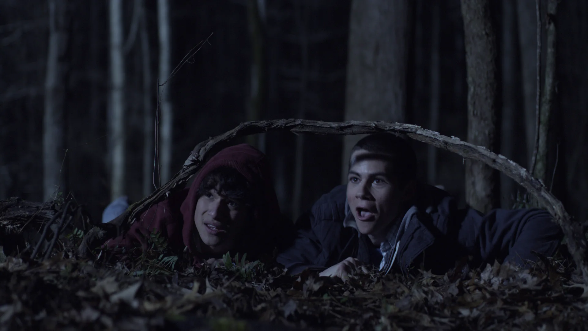 Teen Wolf
