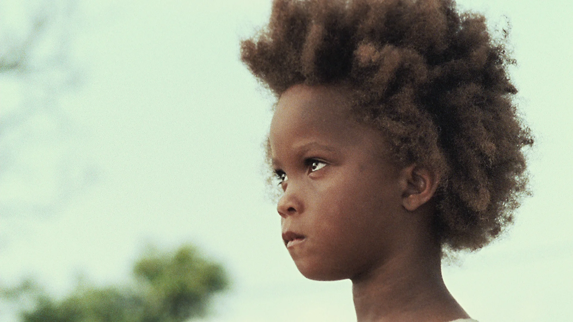 Beasts of the Southern Wild