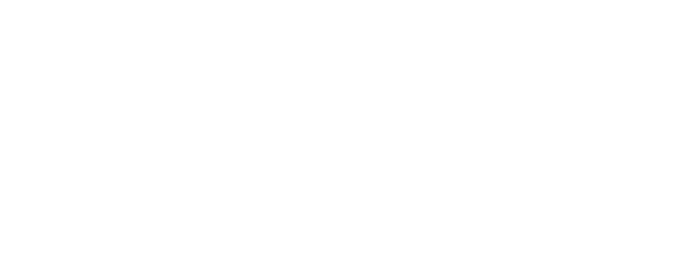 Night Wolf logo