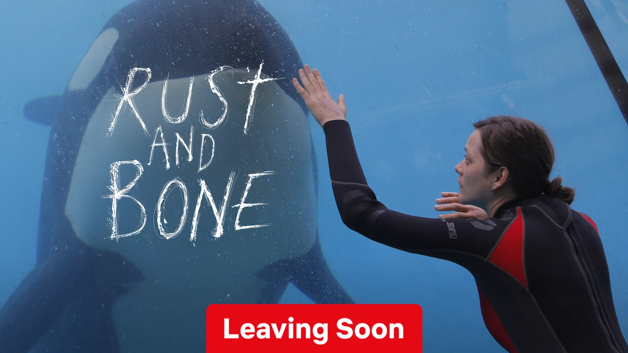 Rust and Bone