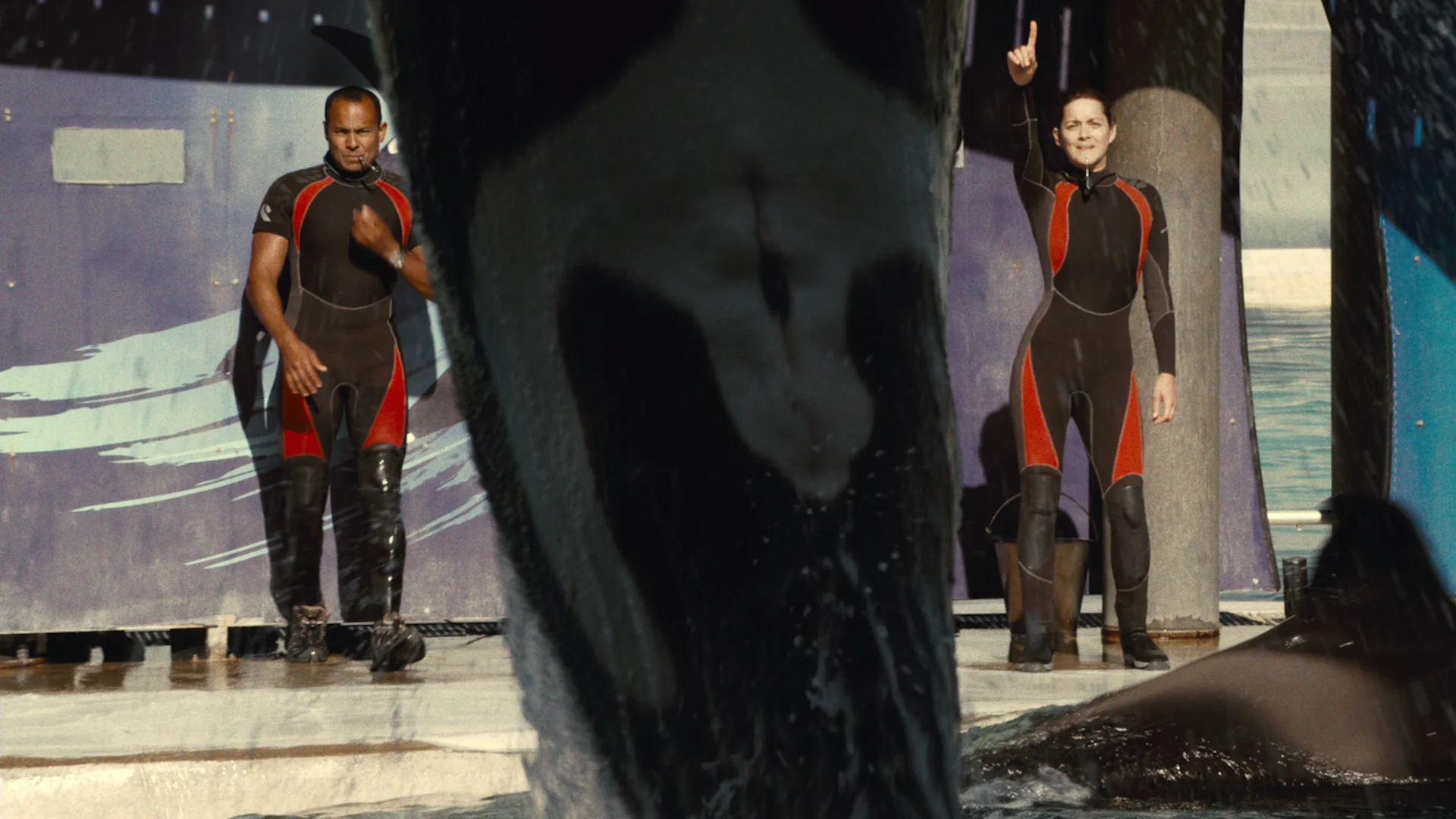 Rust and Bone