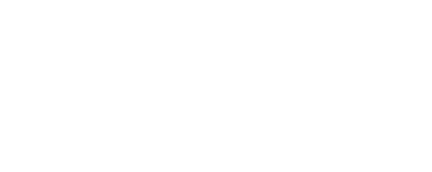 Flight logo
