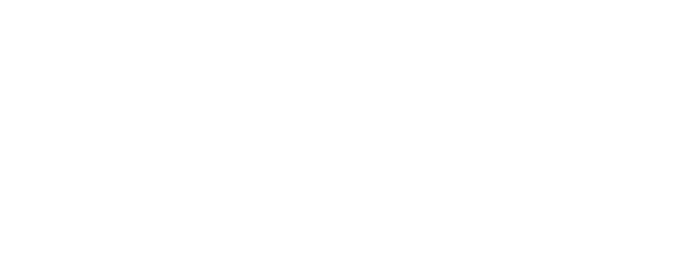 Flight logo