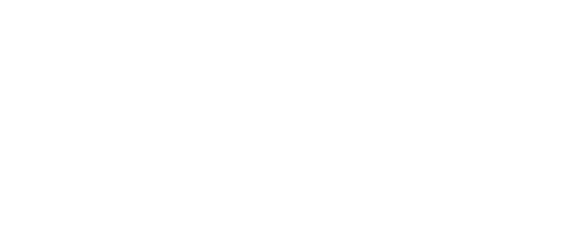 Skyfall logo