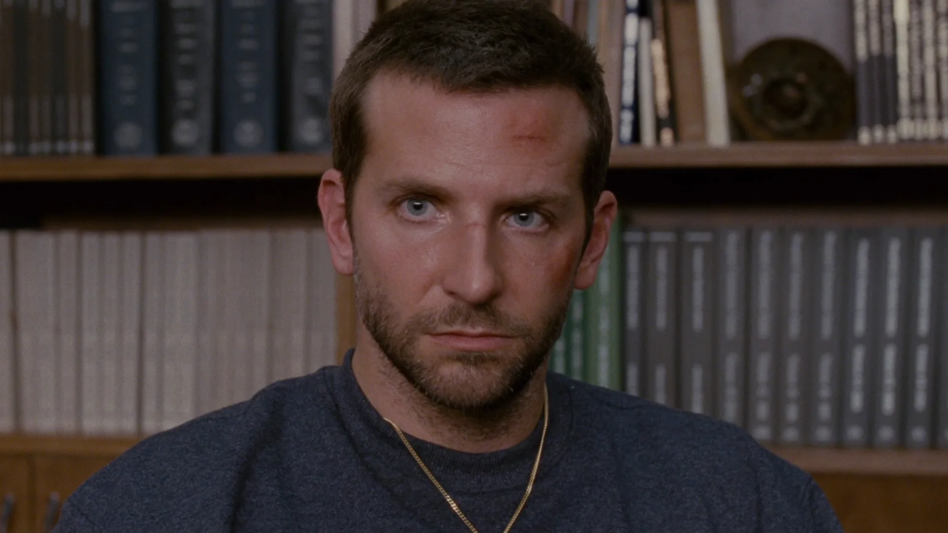 Silver Linings Playbook