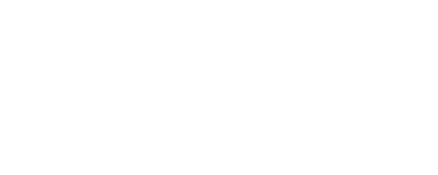 Lone Survivor logo