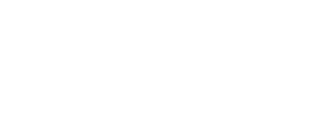Lone Survivor logo