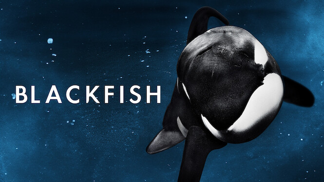 Blackfish